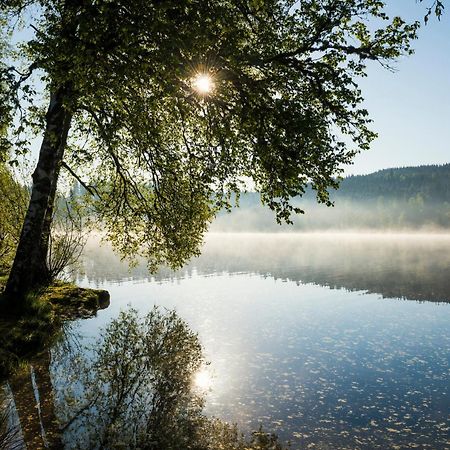 Ferienwohnung Am Schwellenweiher Feldberg  Zewnętrze zdjęcie