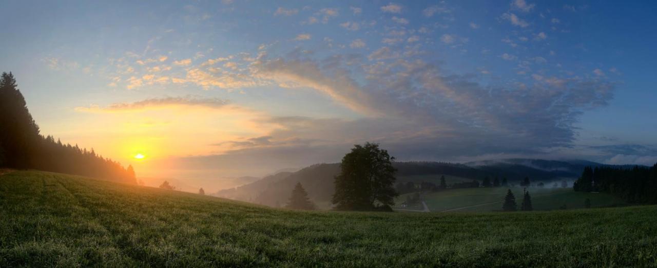 Ferienwohnung Am Schwellenweiher Feldberg  Zewnętrze zdjęcie