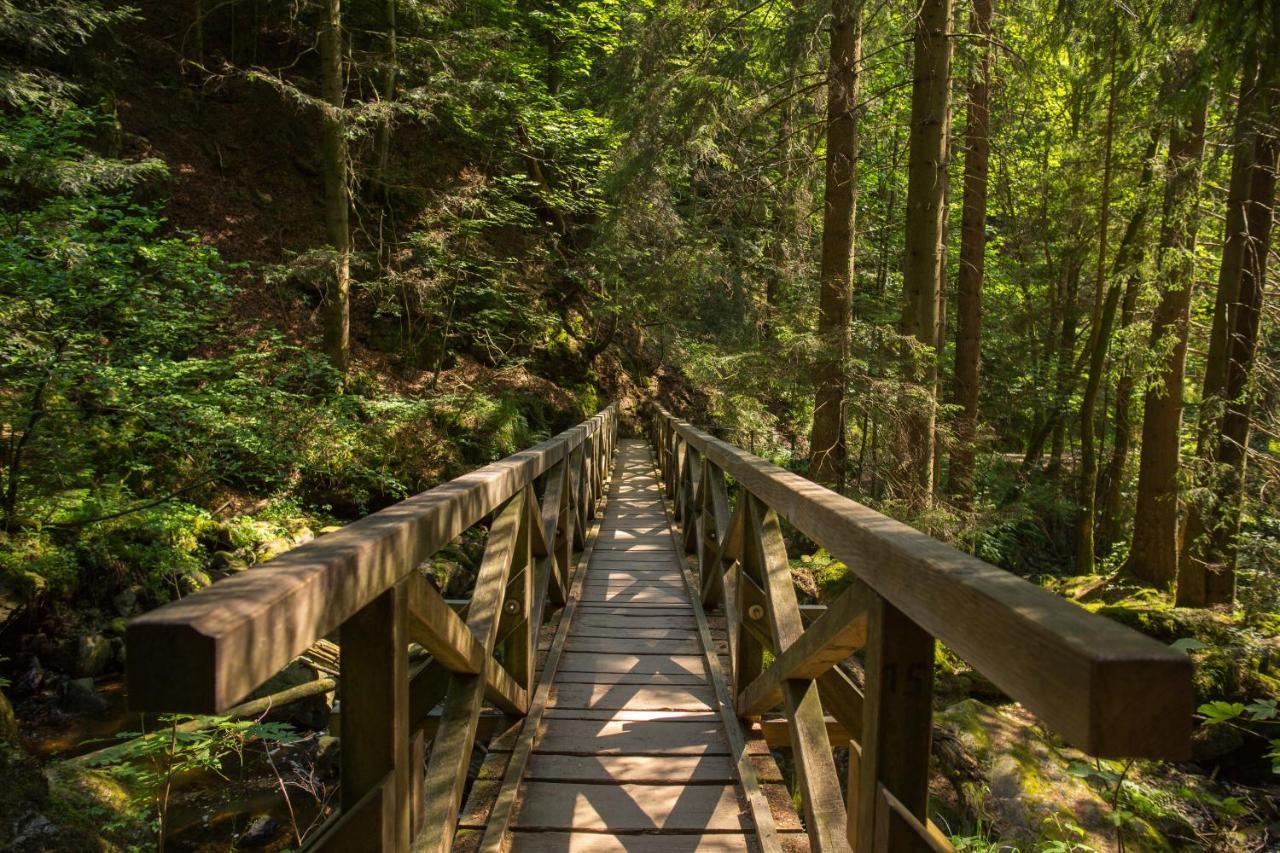 Ferienwohnung Am Schwellenweiher Feldberg  Zewnętrze zdjęcie