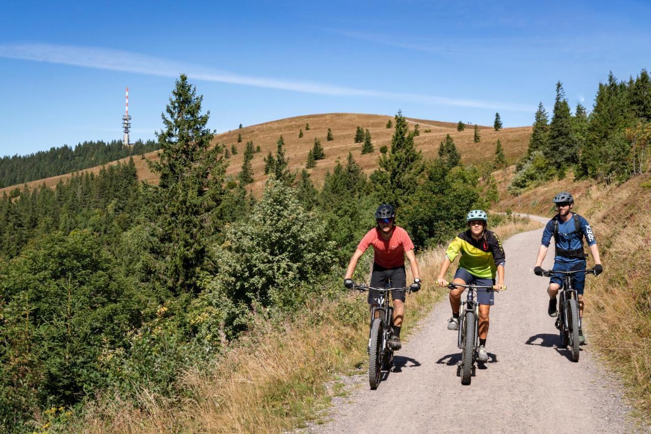 Ferienwohnung Am Schwellenweiher Feldberg  Zewnętrze zdjęcie