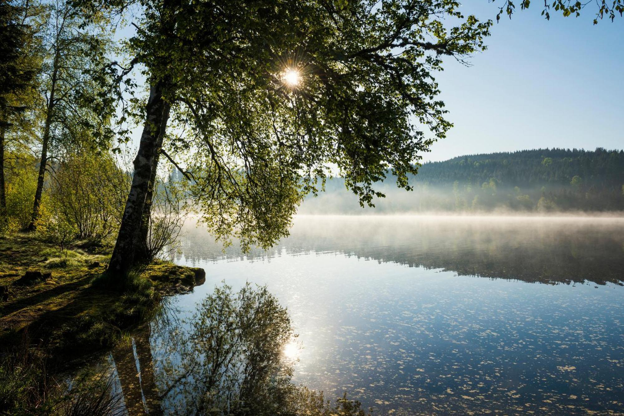 Ferienwohnung Am Schwellenweiher Feldberg  Zewnętrze zdjęcie