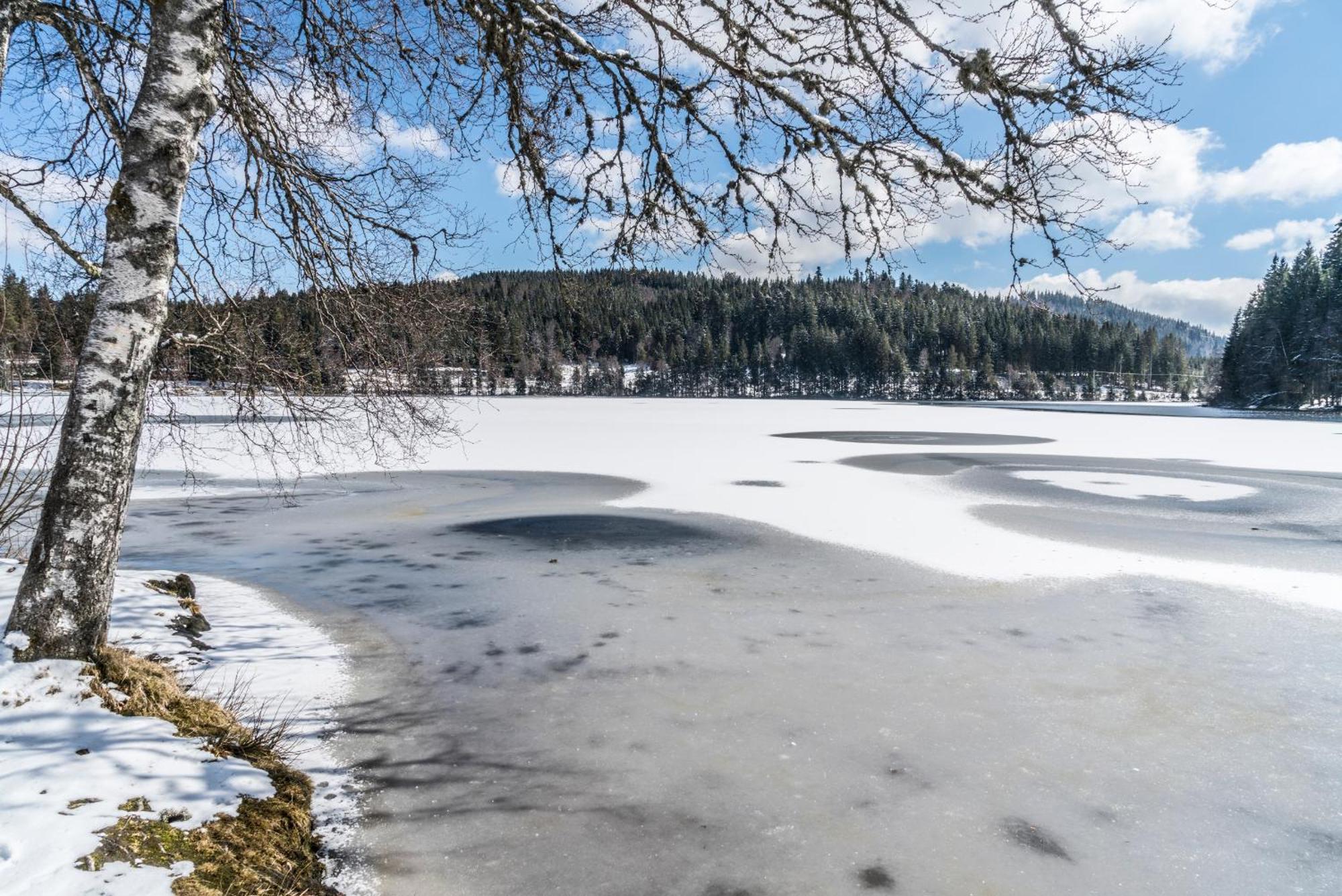 Ferienwohnung Am Schwellenweiher Feldberg  Zewnętrze zdjęcie