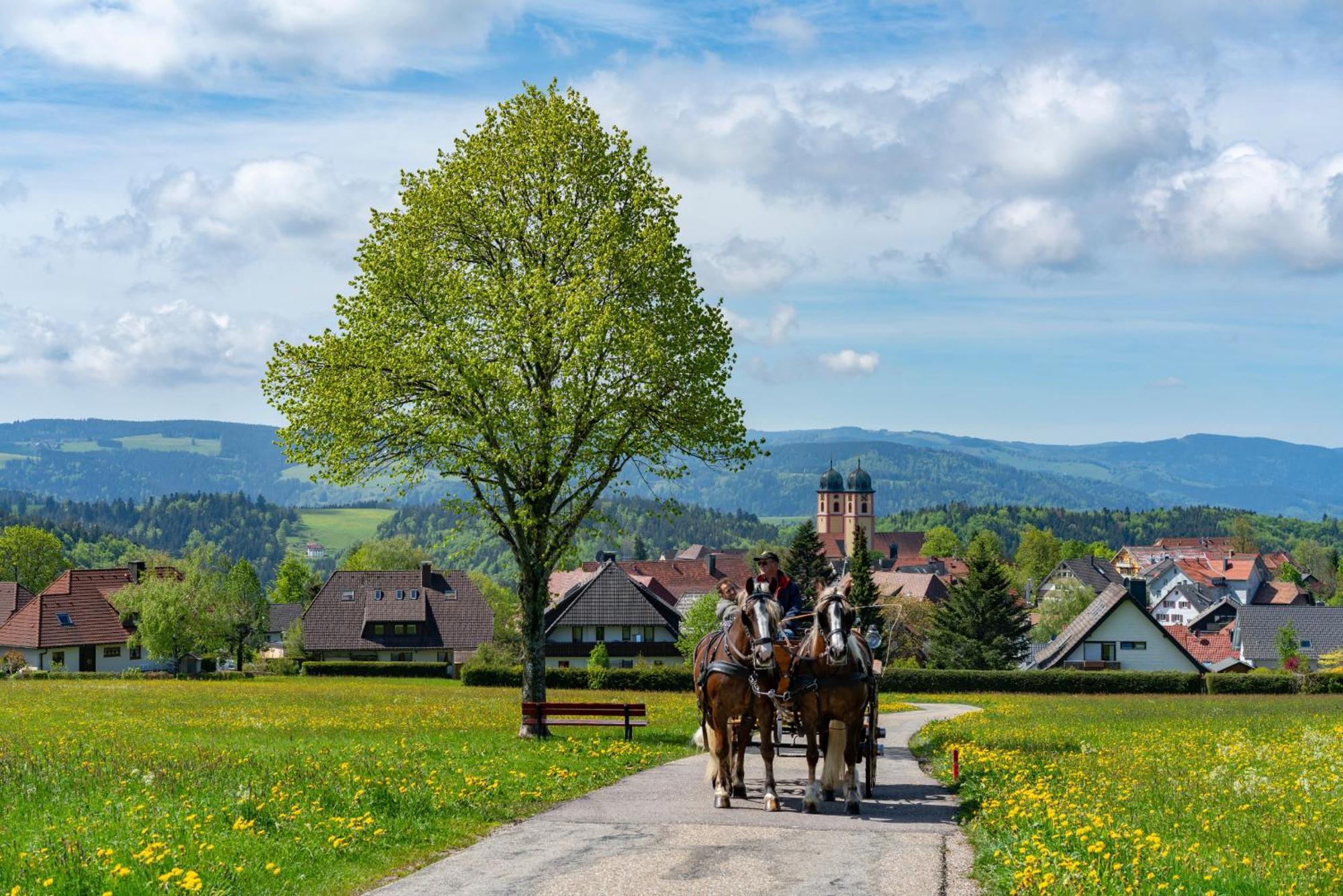 Ferienwohnung Am Schwellenweiher Feldberg  Zewnętrze zdjęcie